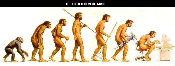 Evolution of Man